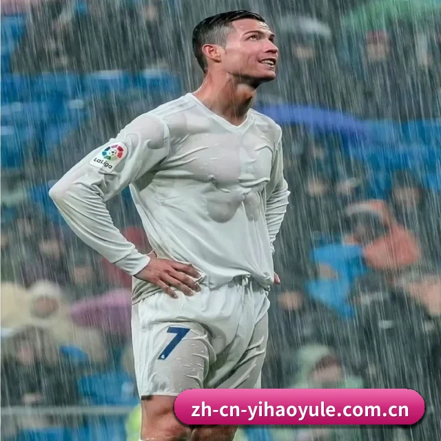 每个板块围绕一个运动项目展开 - 多运动项目内容板块