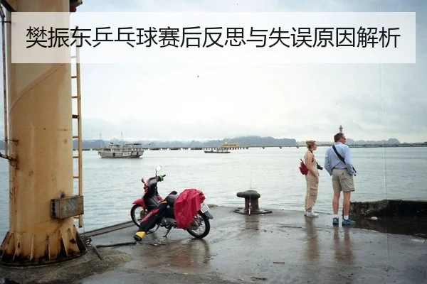 樊振东乒乓球赛后反思与失误原因解析