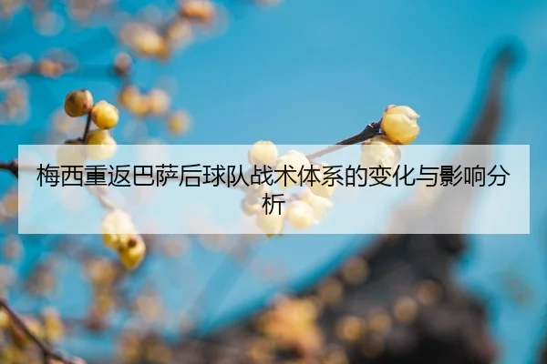 mei-xi-chong-fan-ba-sa-hou-qiu-dui-zhan-shu-ti-xi-de-bian-hua-yu-ying-xiang-fen-xi-2-781.jpg